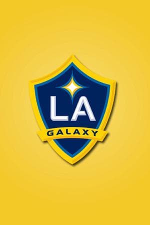 best mls teams in usa｜TikTok Search