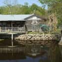 Louisiana on Random Best U.S. States for Camping