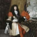 Louis XIV of France on Random Drink Of Choice Was For Historical Royals