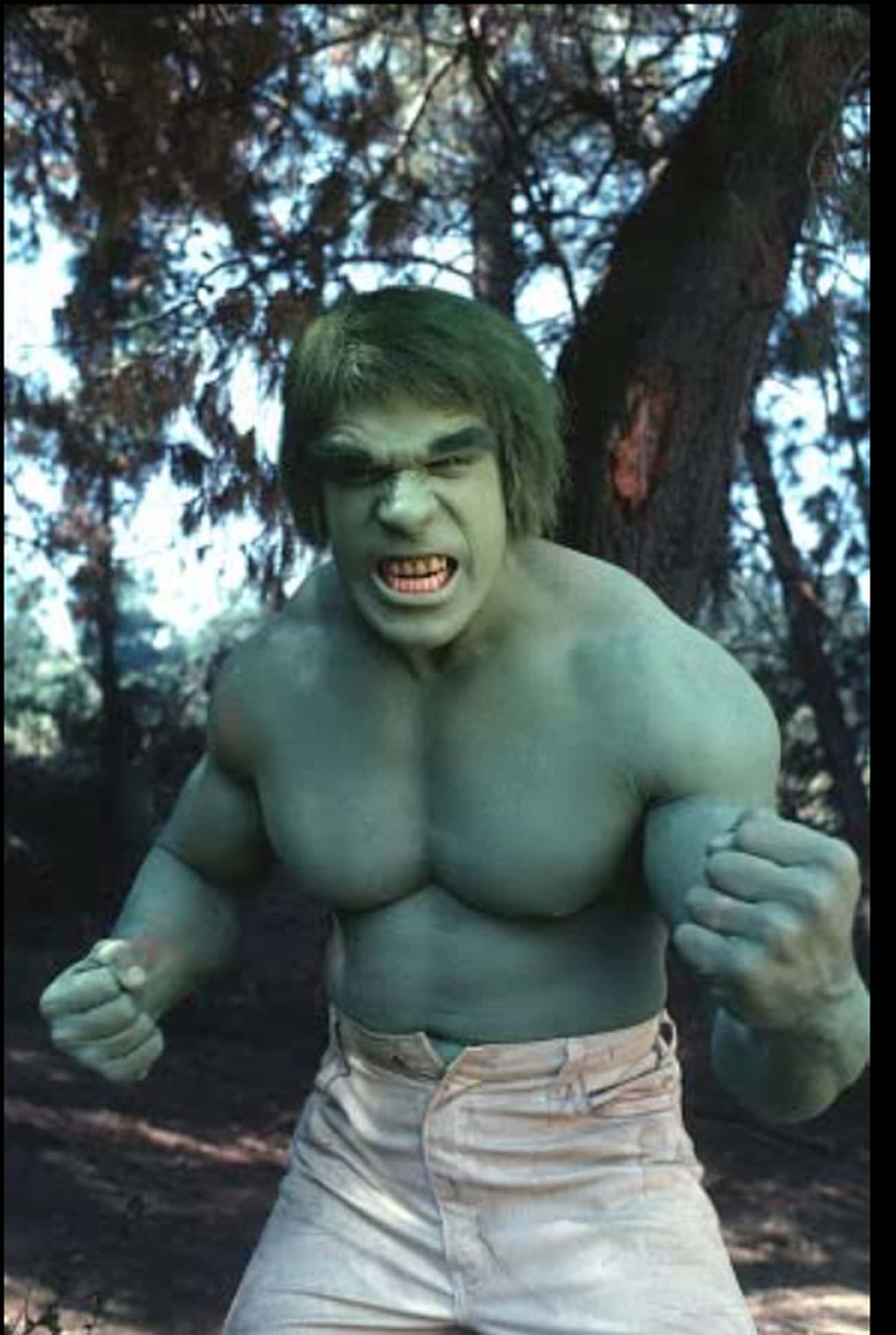 Lou Ferrigno Once Drove Home In His 'Incredible Hulk' Makeup - With Disastrous Results