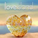 Love Island on Random TV Programs For People Who Love Netflix's 'The Circle'