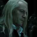 Lucius Malfoy on Random Things You Didn't Know About The Malfoy Family