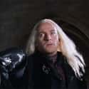 Lucius Malfoy on Random Luckiest Characters In ‘Harry Potter’ Film Franchis