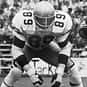 Lucius Sanford is listed (or ranked) 33 on the list The Best Buffalo Bills Linebackers of All Time