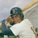 Luis Alvarado on Random Greatest Puerto Rican MLB Players