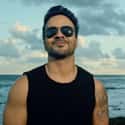 Latin pop, Rock en Español   Luis Alfonso Rodríguez López-Cepero (born April 15, 1978), known by his stage name Luis Fonsi, is a Puerto Rican singer, songwriter and actor.