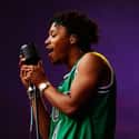Hip hop music, Alternative hip hop, Political hip hop   Wasalu Muhammad Jaco, better known by his stage name Lupe Fiasco, is an American rapper, record producer, and entrepreneur.