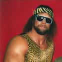 Randy Savage on Random Professional Wrestlers Who Died Young