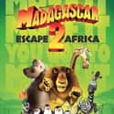 Madagascar: Escape 2 Africa on Random Best Cat Movies