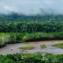 Madidi National Park on Random Most Dangerous Locations That People Have Actually Tried To Visit