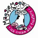 MaggieMoo's Ice Cream and Treatery on Random Best Ice Cream Parlors
