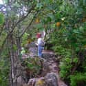 Malaysia is listed (or ranked) 39 on the list The Best Countries for Hiking