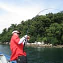 Malaysia on Random Best Countries for Fishing