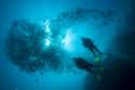 Malaysia on Random Best Countries for Scuba Diving