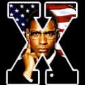Malcolm X on Random Best Black Drama Movies