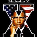 Malcolm X on Random Best Black Movies