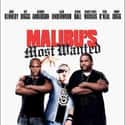 Snoop Dogg, Bo Derek, Giuliana Rancic   Malibu's Most Wanted is a 2003 comedy film written by and starring Jamie Kennedy and co-starring Taye Diggs, Anthony Anderson, Blair Underwood, Regina Hall, Damien Dante Wayans, Ryan O'Neal and...