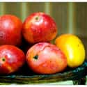 Mango on Random Best Tropical Fruits