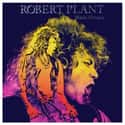 Manic Nirvana on Random Best Robert Plant Albums