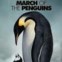 March of the Penguins on Random Greatest Animal Movies