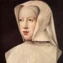 Margaret of Austria, Duchess of Savoy on Random Most Lavish Dowries In History