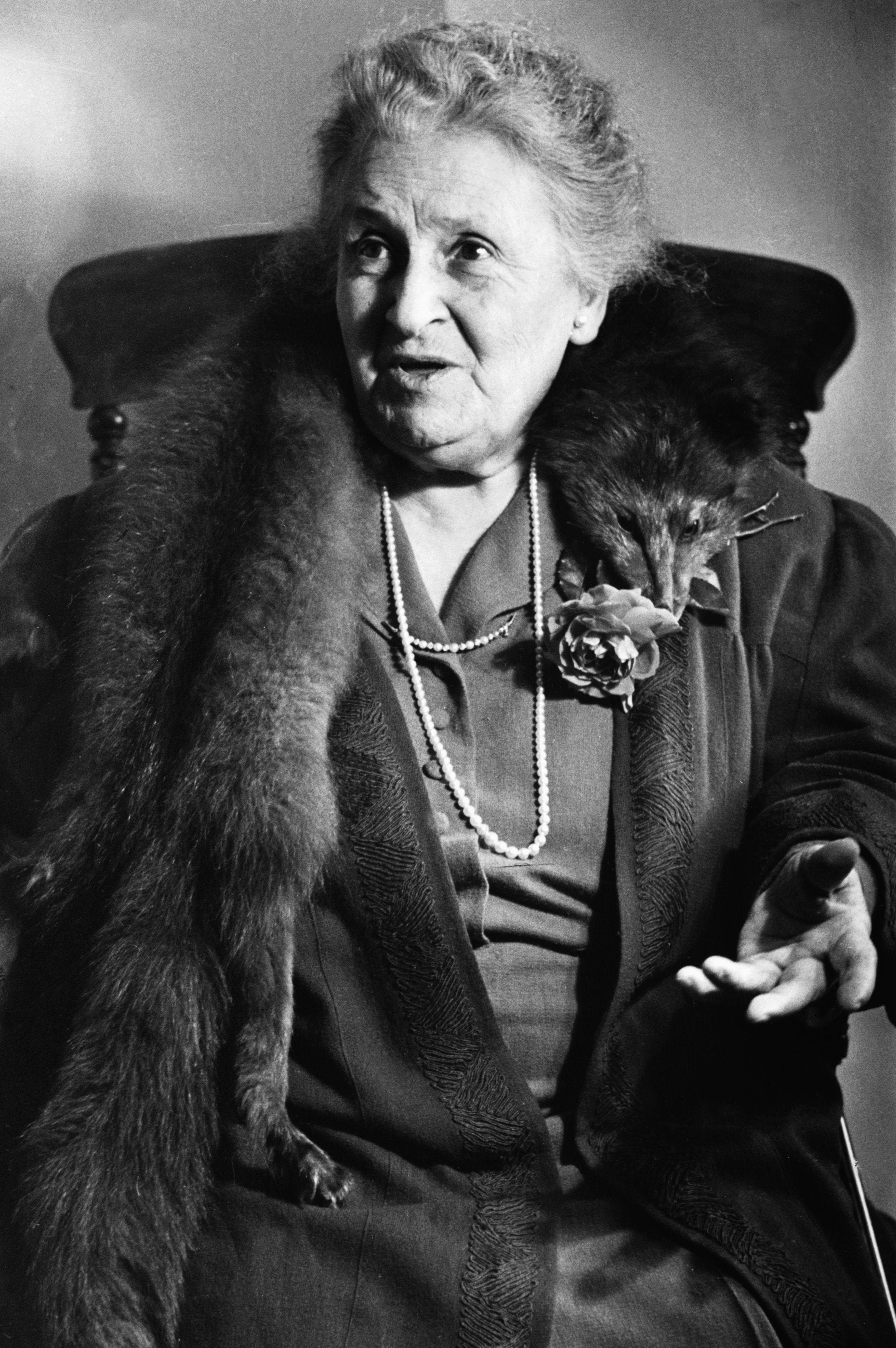 Famous Female Educators List of Top Female Educators