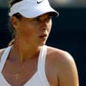 Maria Sharapova on Random Greatest Female Tennis Players Of Open Era