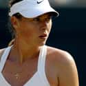 Maria Sharapova on Random Greatest Women's Tennis Players