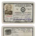 Marilyn Monroe on Random Celebrity Passport Photos