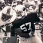 Mark Arneson is listed (or ranked) 9 on the list The Best Arizona Cardinals Linebackers of All Time
