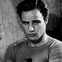 Dec. at 80 (1924-2004)   Marlon Brando, Jr. was an American actor and film director.