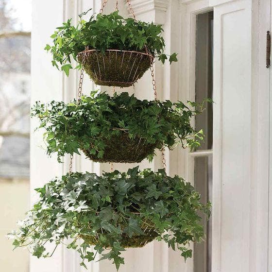 Martha Stewart Living