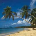 Martinique on Random Best Destinations for a Beach Wedding
