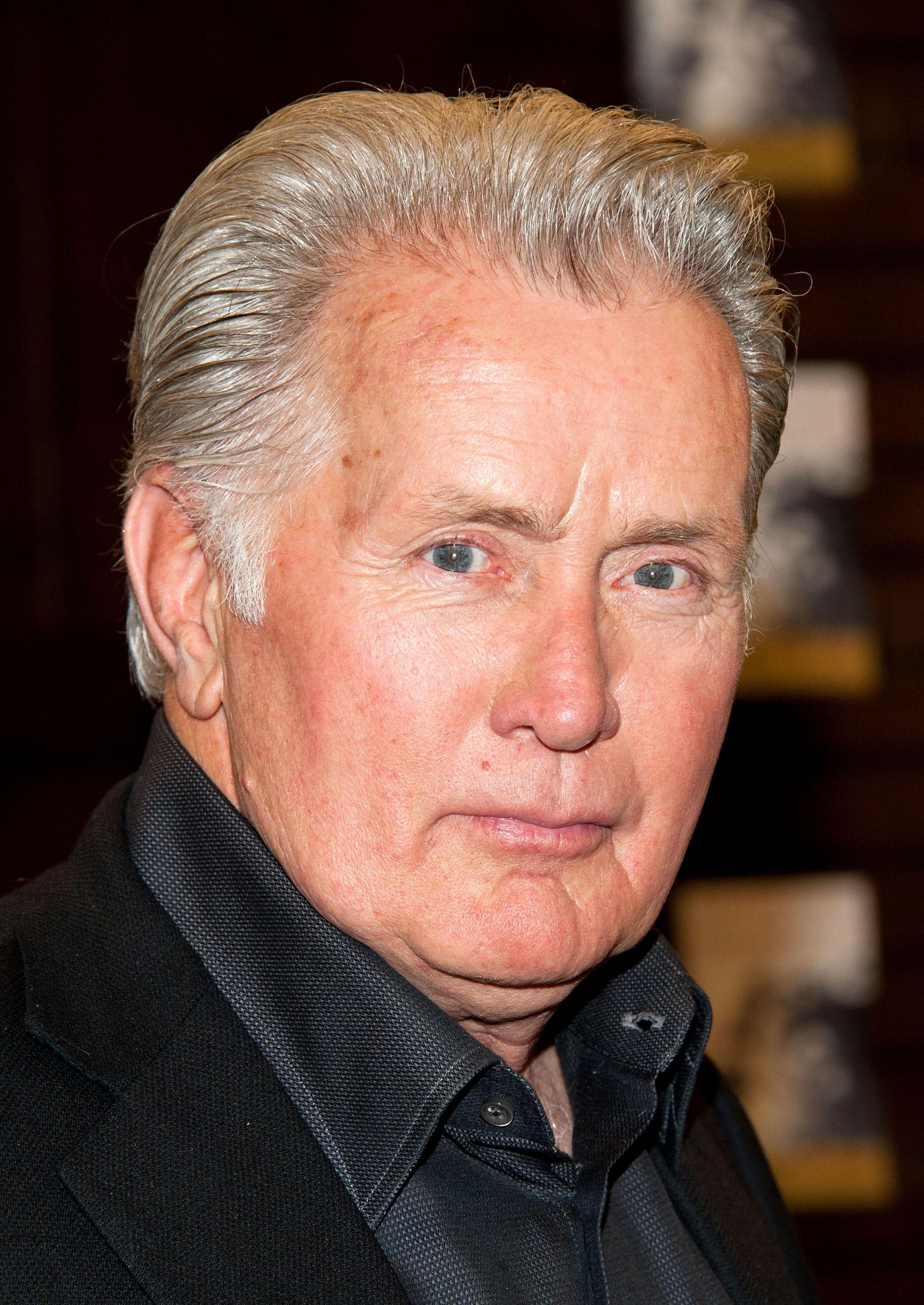 Martin Sheen poster