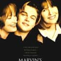 Marvin's Room on Random Best Meryl Streep Movies