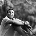 Marvin Gaye on Random Celebrities Who Died Without a Will