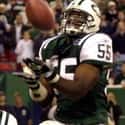 Marvin Jones on Random Best New York Jets Linebackers