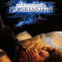 Mary Shelley's Frankenstein on Random Best Robert De Niro Movies