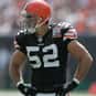 Matt Stewart is listed (or ranked) 37 on the list The Best Atlanta Falcons Linebackers of All Time