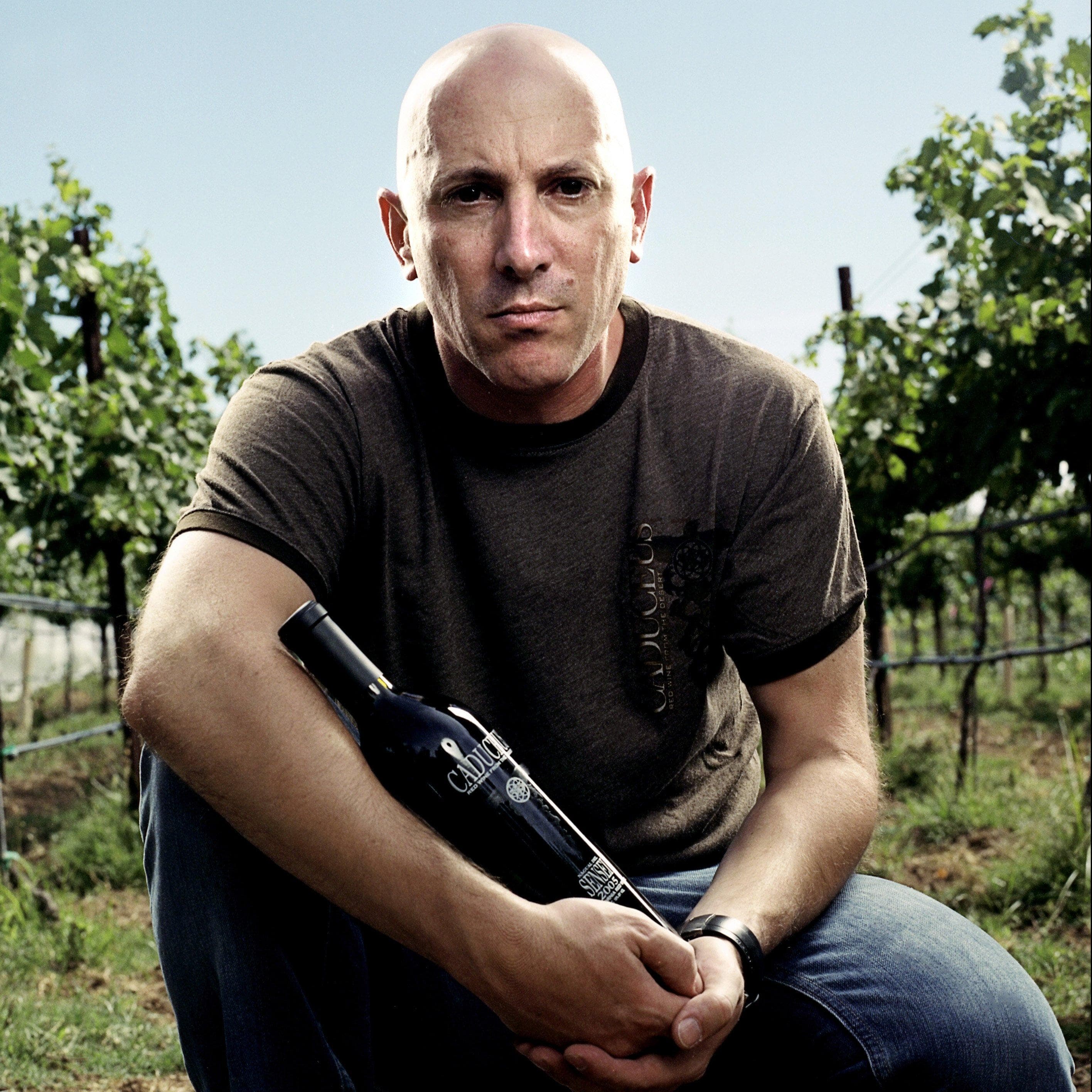 Celebrity Wines List of Celebrities With Wines and Vineyards