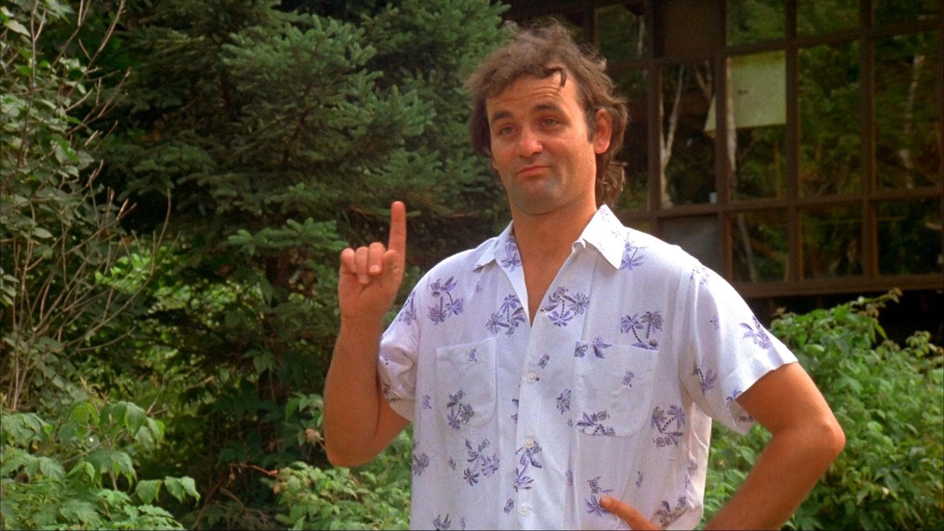 Bill Murray - 'Meatballs' 