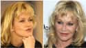 Melanie Griffith on Random Celebrities Whose Faces Totally Changed