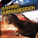 Animal Armageddon on Random Best Computer Animation TV Shows