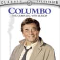 Columbo - Season 5 on Random Best Seasons of Columbo