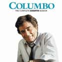 Columbo - Season 8 on Random Best Seasons of Columbo