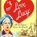 I Love Lucy - Season 2 on Random Best Seasons of I Love Lucy