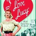 I Love Lucy - Season 5 on Random Best Seasons of I Love Lucy