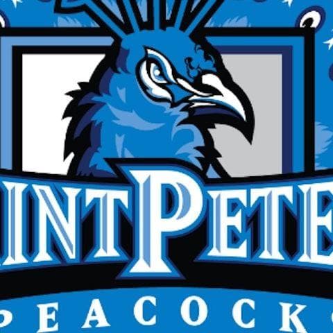 Saint Peter's  Peacocks