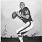 Terry Nofsinger is listed (or ranked) 48 on the list The Best Arizona Cardinals Quarterbacks of All Time