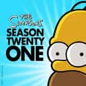 The Simpsons Season 21 on Random Best Seasons of 'The Simpsons'